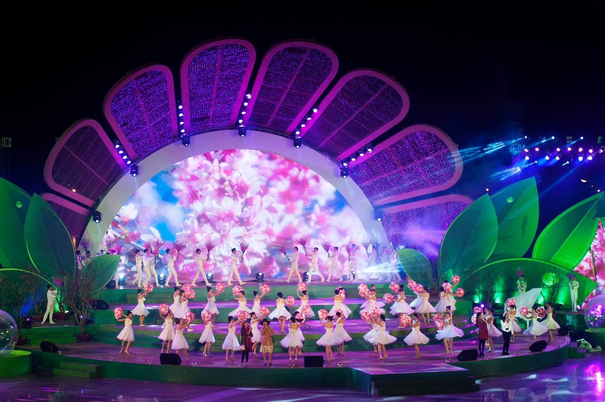 festival hoa da lat lan thu 7 hoa da lat ket tinh ky dieu tu dat lanh