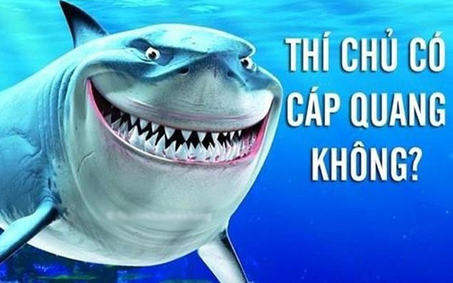 duoi bien thi co ca map can cap quang mat dat lai co sieu chuot