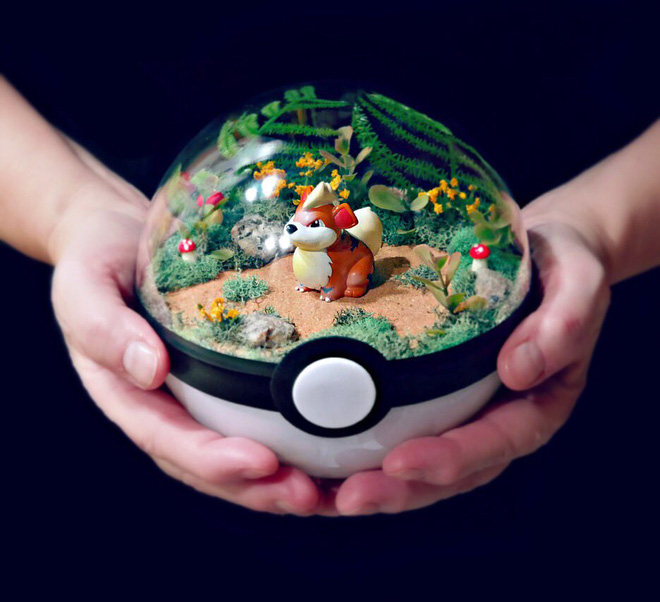 nhung khu vuon pokeball trong long ban tay danh rieng cho fan pokemon
