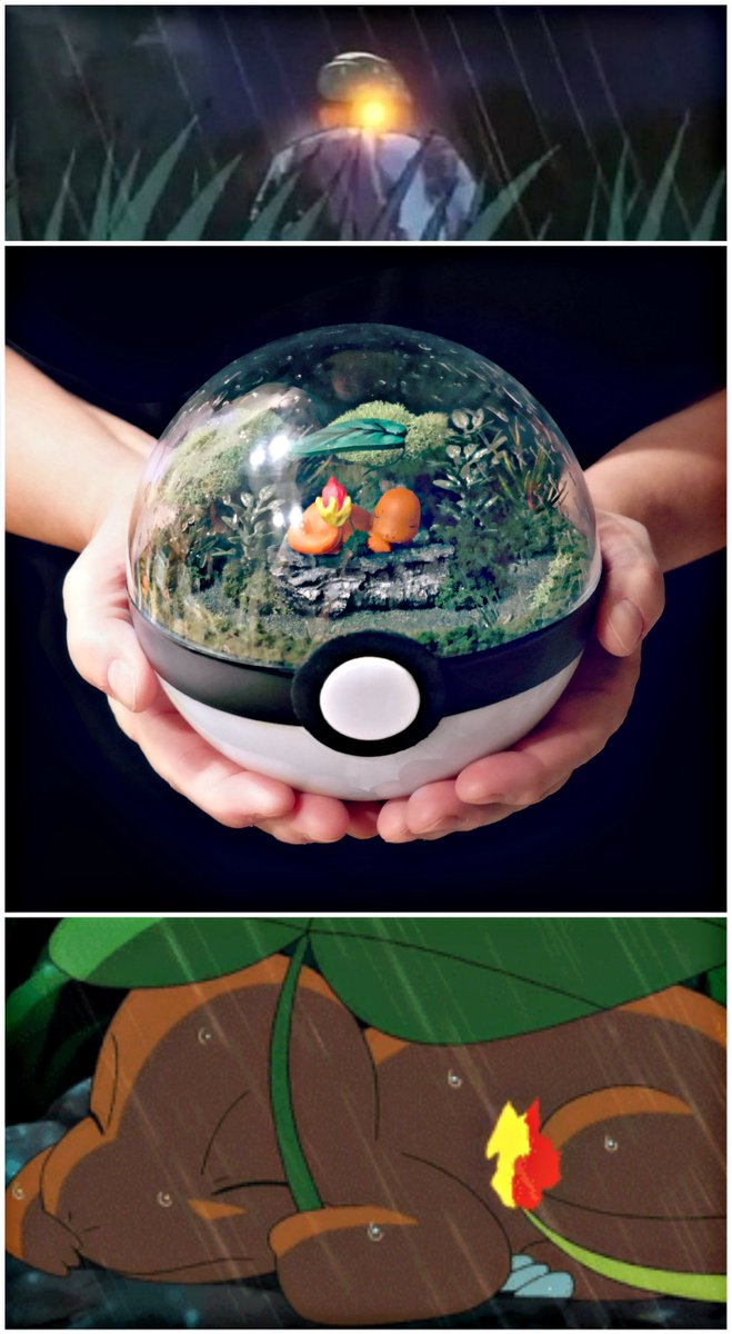 nhung khu vuon pokeball trong long ban tay danh rieng cho fan pokemon