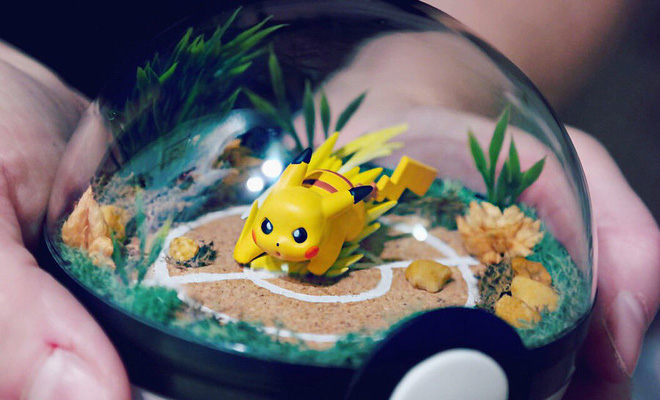 nhung khu vuon pokeball trong long ban tay danh rieng cho fan pokemon