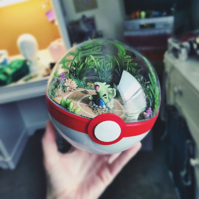 nhung khu vuon pokeball trong long ban tay danh rieng cho fan pokemon