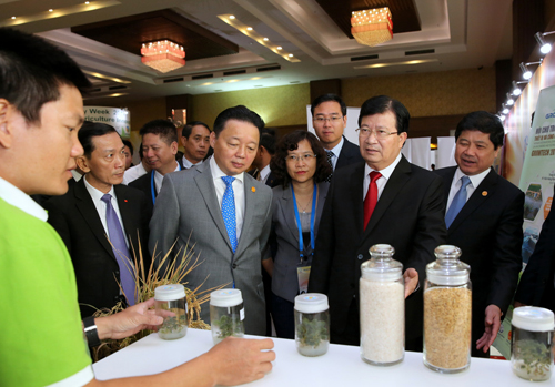 viet nam san sang phoi hop voi cac thanh vien apec bao dam an ninh luong thuc