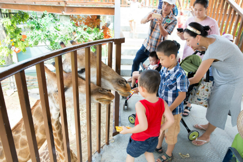 5 dia diem ly tuong ngay ngay tai ha noi dip nghi le 29