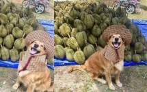 thuc hu tac dung cua vien uong chong nang