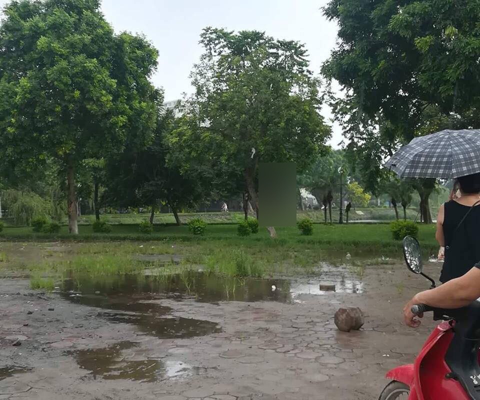 ha noi phat hien nguoi dan ong treo co tren cay ven den lu trong luc mua tam ta