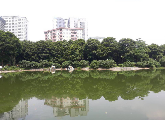 ha noi be trai bi ran can khi dang choi cung ba noi trong cong vien o linh dam phai nhap vien theo doi
