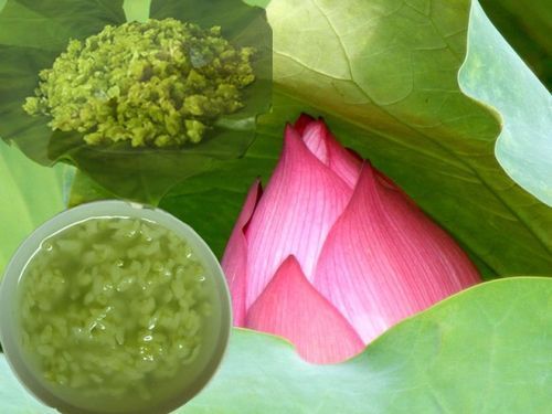 thu ha noi diu dang ben huong com ngot bui