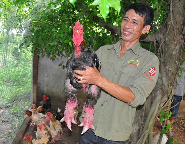 ga dong tao co vay mong rong quy hiem gia chuc trieu