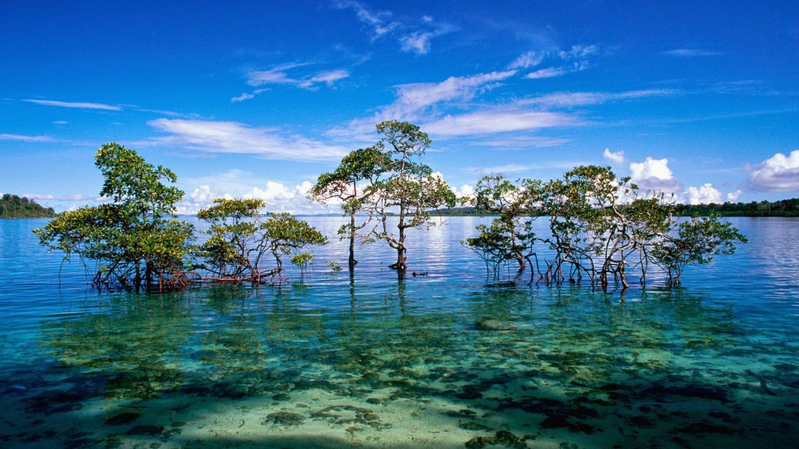 phu quoc vao top dao du lich dep nhat chau a