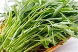 nguoi dan ong nguy kich vi nuot luon song chua tao bon