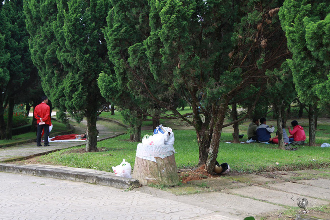 nhac nho nguoi ban hang co lao cong o da lat nhan lai cau noi khong xa rac thi lay viec dau cac co lam