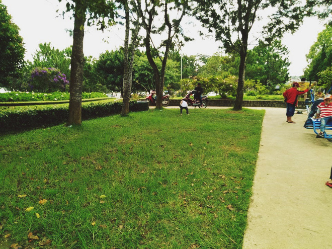 hinh anh dep khach nuoc ngoai va ban tre da lat cung thu don rac thai o cong vien hau nghi le 29
