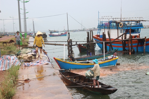 quang binh ngu dan chu dong ung pho voi bao so 10 sap do bo