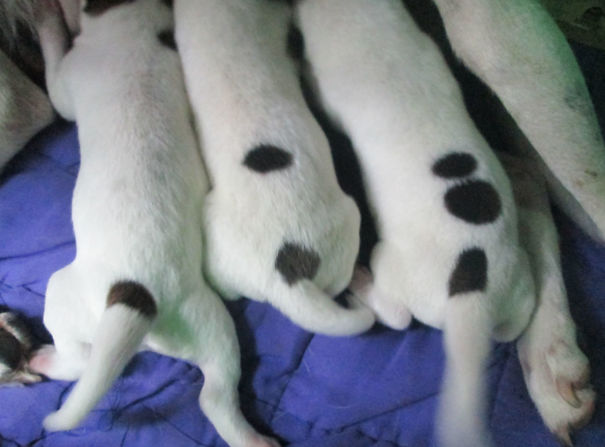 vui khong co su tinh co thi lay dau ra nhung khoanh khac ky dieu nay