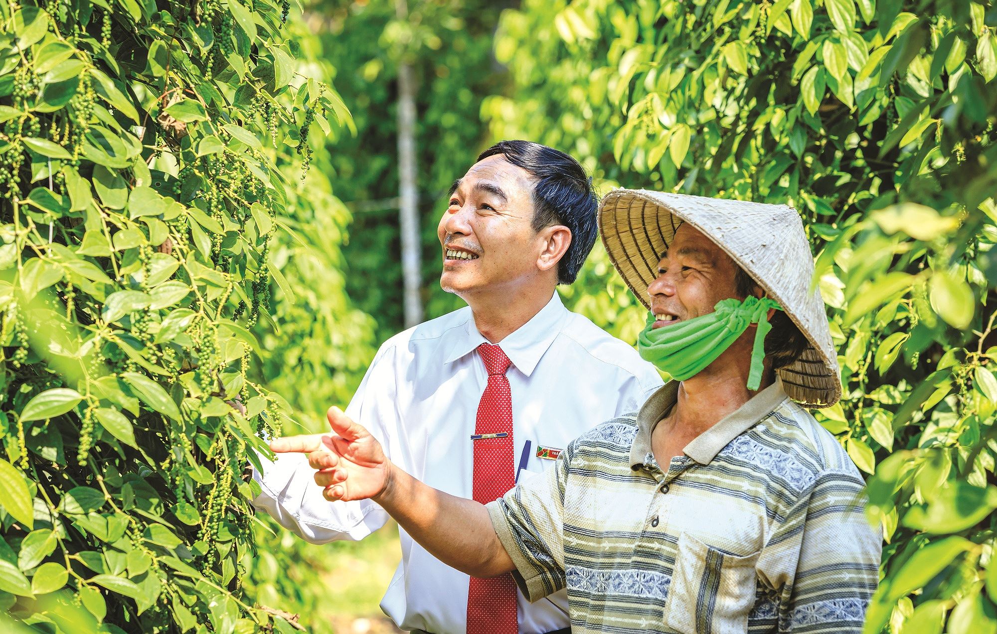 tim loi mo cho vay nong nghiep cong nghe cao