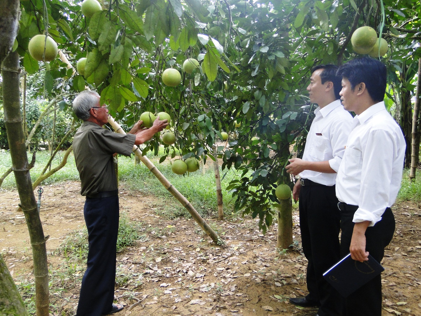 tim loi mo cho vay nong nghiep cong nghe cao