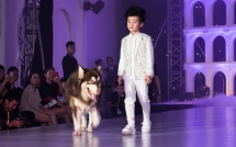 Nam vương thiếu nhi gây ấn tượng khi catwalk cùng thú cưng