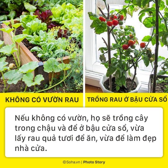 photo story 9 thoi quen cua nguoi thuy dien giup quoc gia nay dat duoc dieu nuoc nao cung phai mo uoc