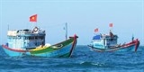 Tăng cường giải pháp chống khai thác hải sản bất hợp pháp