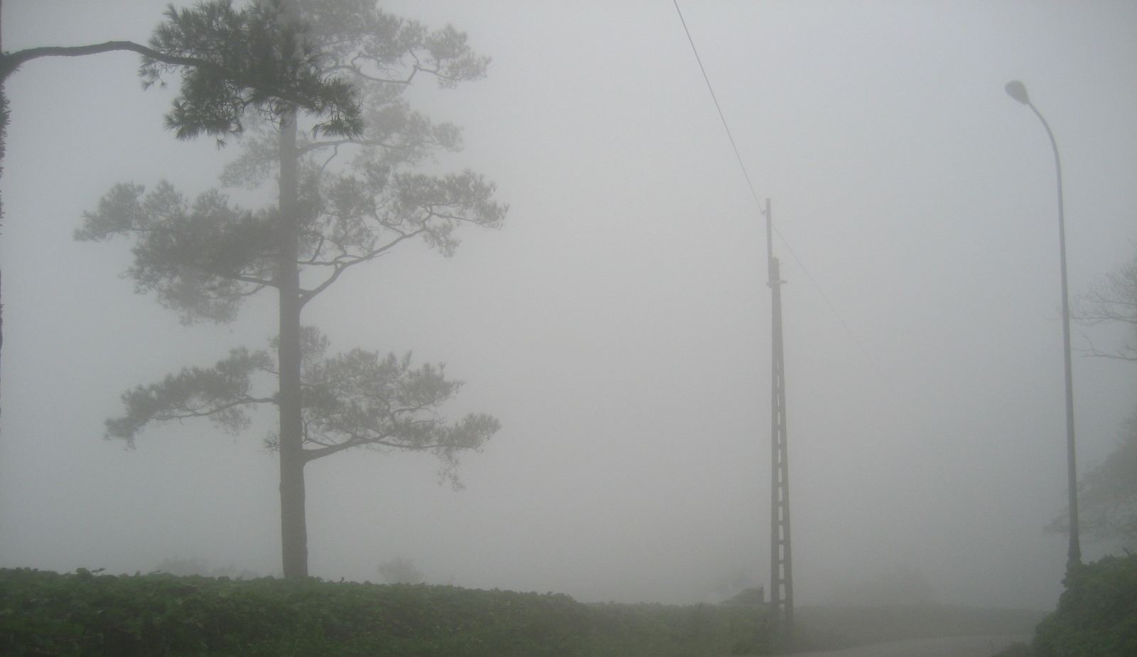 lang dang mong mo da lat xu bac