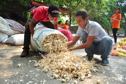 bi thuong lai ep gia nong dan ly son dem hanh toi ra ha noi ban