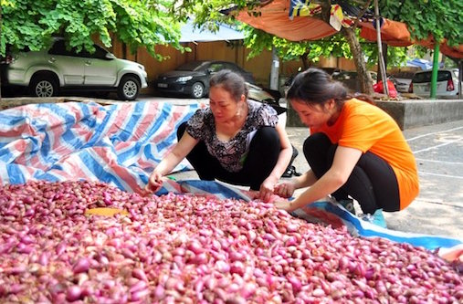 bi thuong lai ep gia nong dan ly son dem hanh toi ra ha noi ban