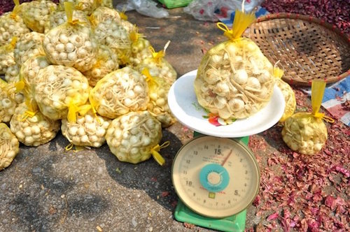 bi thuong lai ep gia nong dan ly son dem hanh toi ra ha noi ban