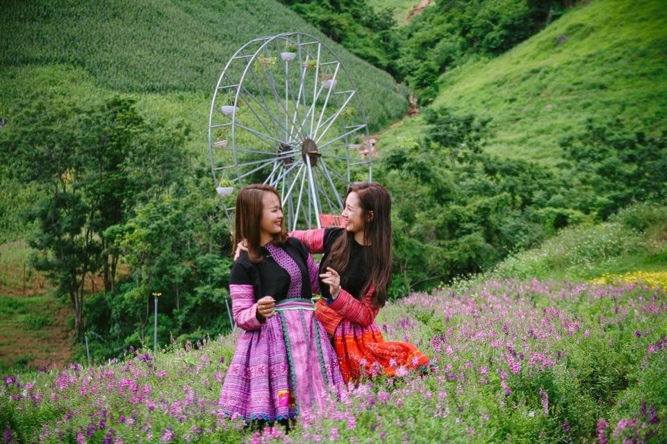thung lung hoa moc chau diem den moi cho gioi tre