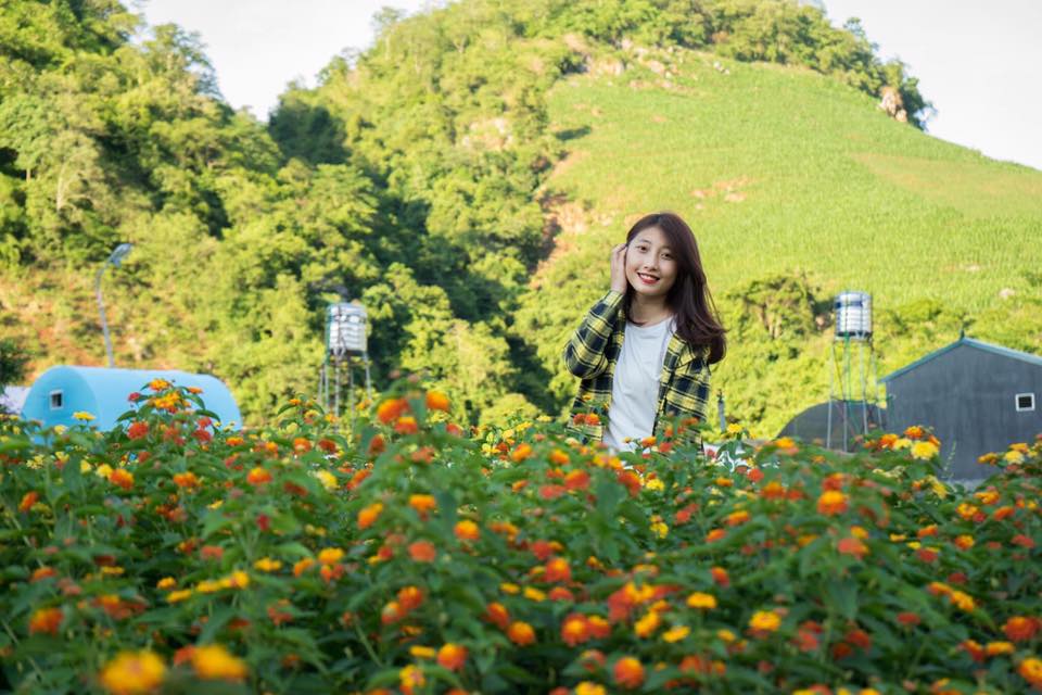thung lung hoa moc chau diem den moi cho gioi tre