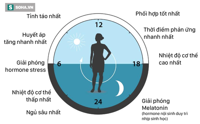 giai nobel y hoc nam nay da thay doi moi thu chung ta biet ve y hoc va sinh hoc