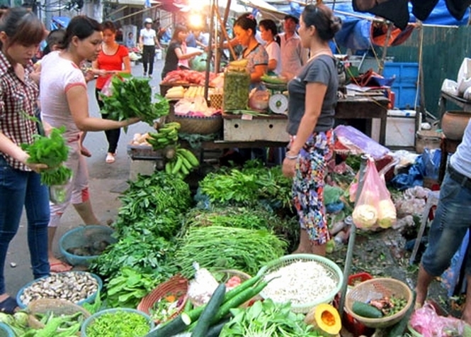 ha noi mua keo dai rau xanh tang gia gap ruoi