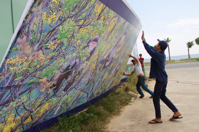 da nang san sang don apec
