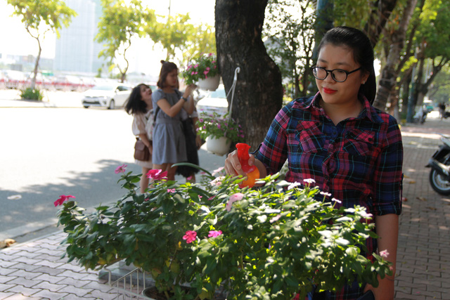 da nang san sang don apec