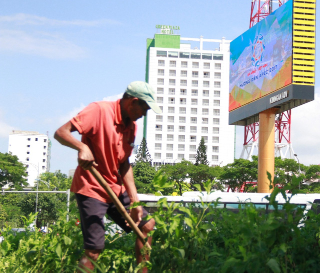 da nang san sang don apec