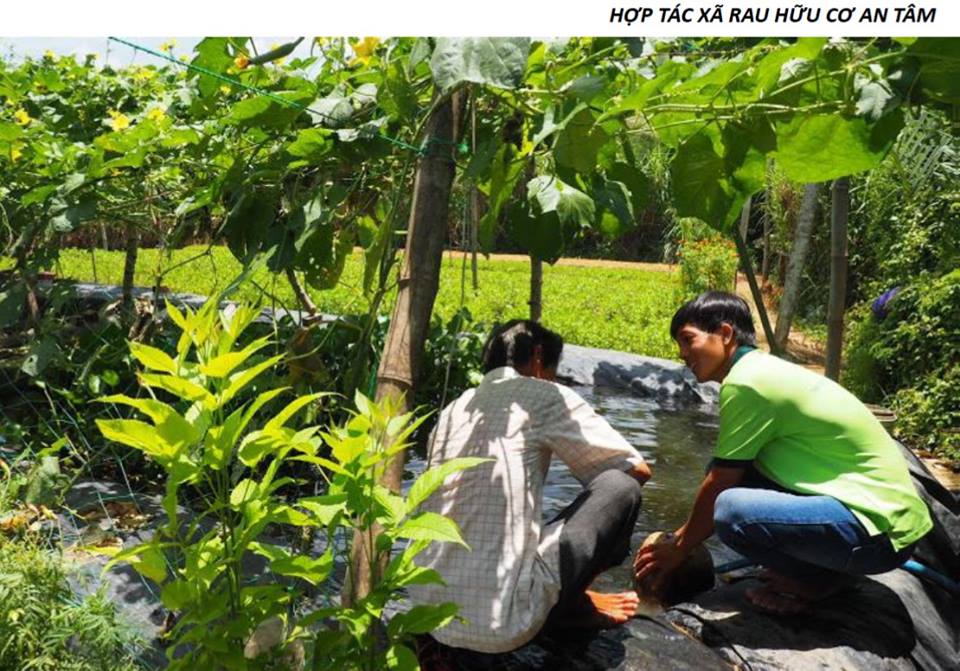 du an radcc tai tinh ben tre cua oxfam tang thu nhap cho 11000 phu nu