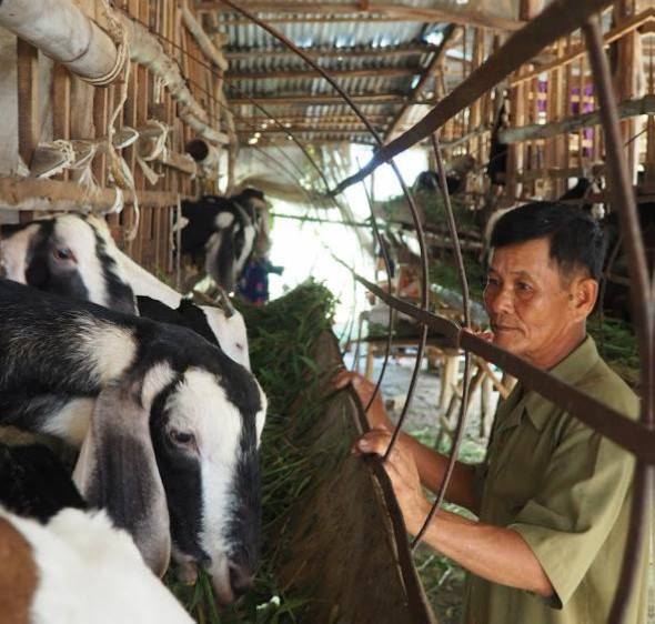 du an radcc tai tinh ben tre cua oxfam tang thu nhap cho 11000 phu nu