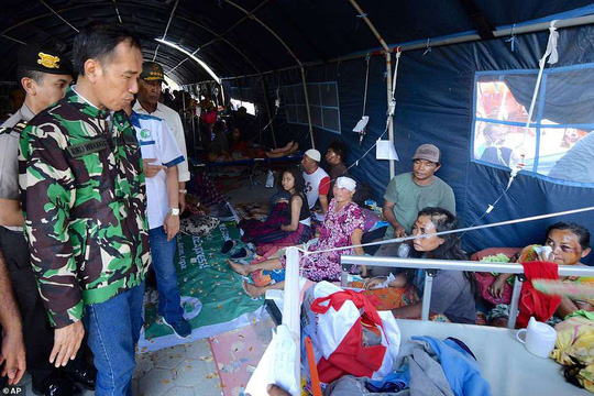 thuong tam hinh anh indonesia hoang tan sau tham hoa kep dong dat song than