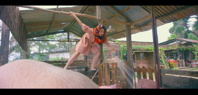 ngan khanh dien toan hang hieu de vao chuong tam cho heo