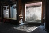 san lung loai chuot khong lo trong rung tay yen tu