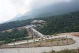 san lung loai chuot khong lo trong rung tay yen tu
