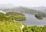 quan phung hien trung quoc muon nhap vai cua bac giang viet nam