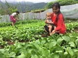 hki trao hon 600 doi giay vai cho hoc sinh ngheo son la