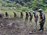 viet nam muon hoi sinh 50000 ha dat chet moi nam