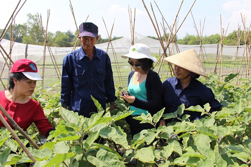 trang trai rau dau tien cua vn dat chung nhan rau huu co cua my va eu
