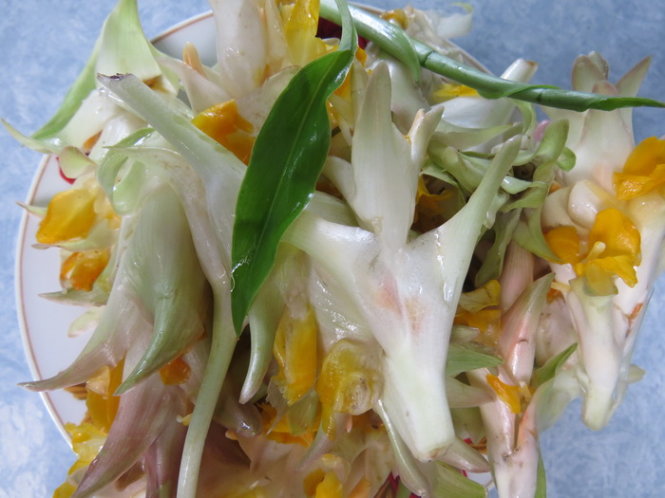 quen doi voi rau nghe sa huynh