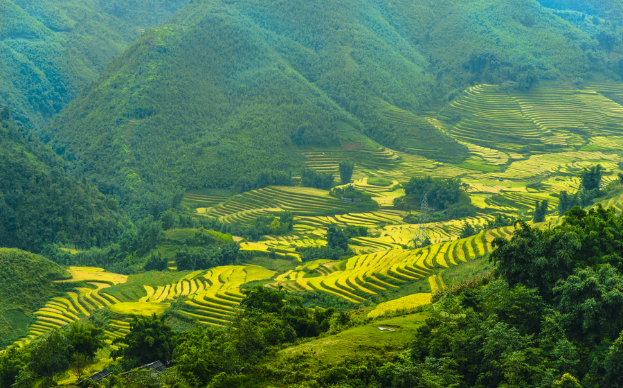 ruong bac thang sa pa lot top 20 diem den yeu thich cua nguoi dan anh