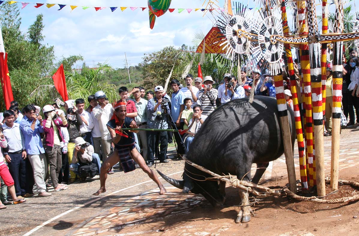 hanh trinh 247 khach san hue lan thu 3 lien tiep duoc vinh danh tren bao nuoc ngoai