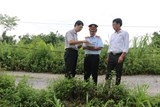 bo truong tn mt tra loi viec cap hang nghin ha dat xay chua bai dinh tam chuc