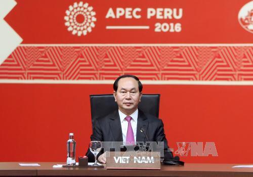 viet nam dang cai apec 2017